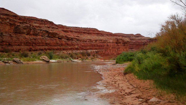 Looking West Downstream On San Juan River