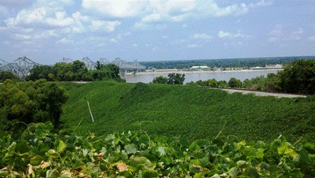 View from Visitor Center Natchez